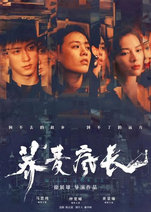 石山学院文凭毕业证怎么仿制